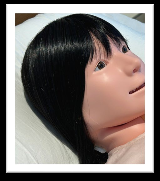 整えられたシミュレータのかつら