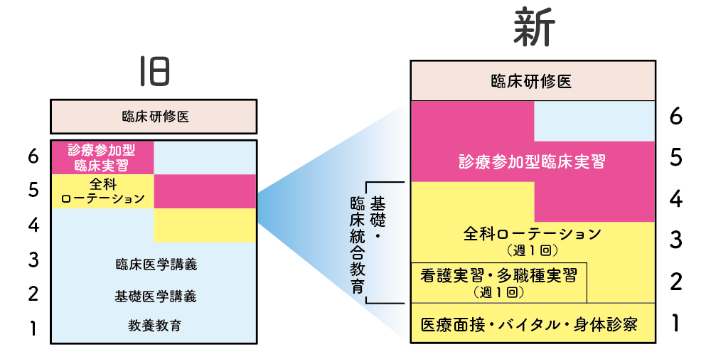 カリキュラム図式