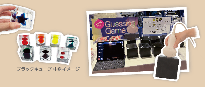 ブラックキューブの製品の見た目の画像
