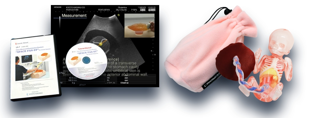 fetus model and dvd for training