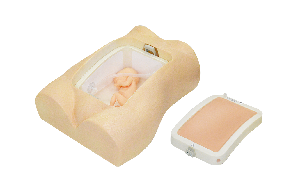 image of amniocentesis ultrasound phantom