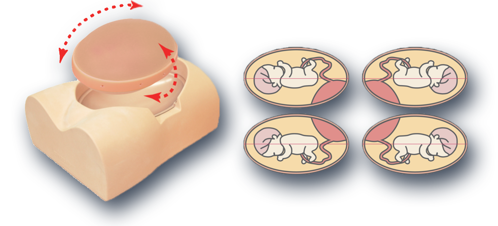 four different positions