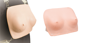 Breast Self Examination Model
