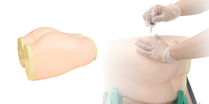 Gluteus Maximus Injection Simulator