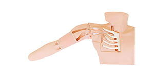 Ultrasound-Guided PICC Training Simulator