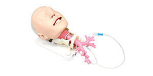 DAM Simulator for Bronchofiberscopy