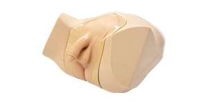 Male Catheterization/Enema Simulator