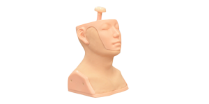 Head and Neck Palpation Trainer