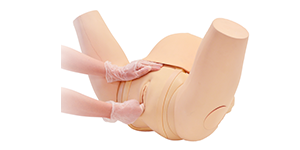 Cervical Assessment Simulator