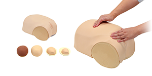 Uterine Involution Assessment Simulator