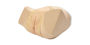 Female Catheterization/Enema Simulator II