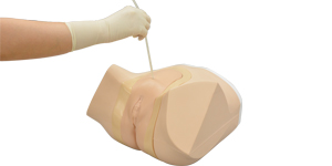 Suprapublic Catheter Care Simulator