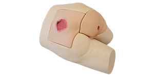 Pressure Sores Simulator