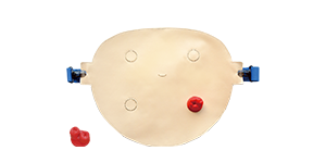 Strap-on Ostomy Care Trainer