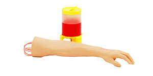 Peripheral Venous Catheter Placement Simulator