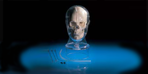 MRI/NM Head Phantom BHC
