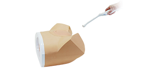 Female Pelvic Ultrasound Phantom