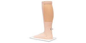 DVT (Deep Vein Thrombosis) Phantom