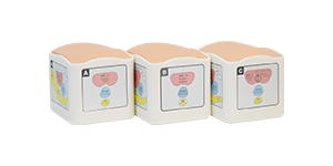Rectal and Bladder Ultrasound Phantom