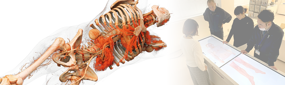 [画像：Anatomage Table top]