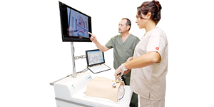 laparoscopic suture simulator assessment system