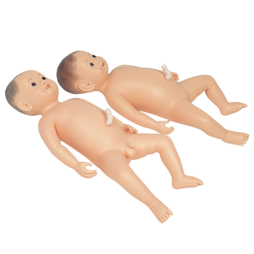 Newborn Bathing and Nursery Care Model　B