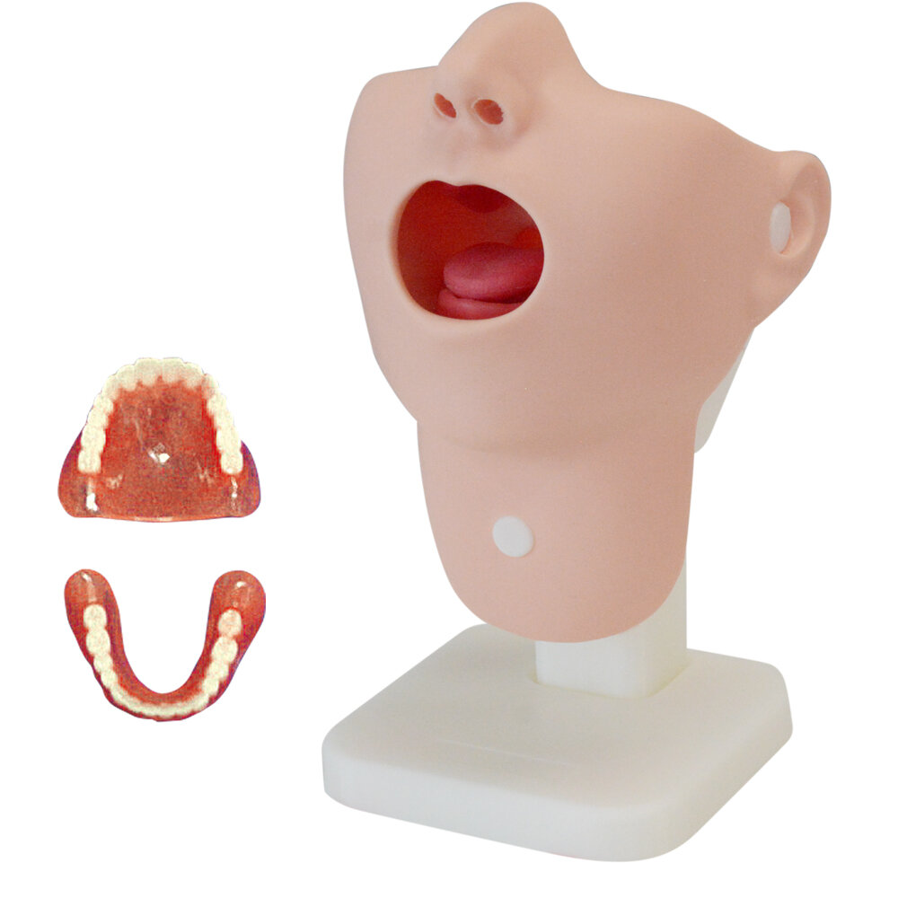Oral Care Simulator