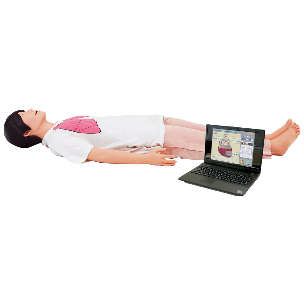 Physical Assessment Simulator “Physiko Plus”　CE