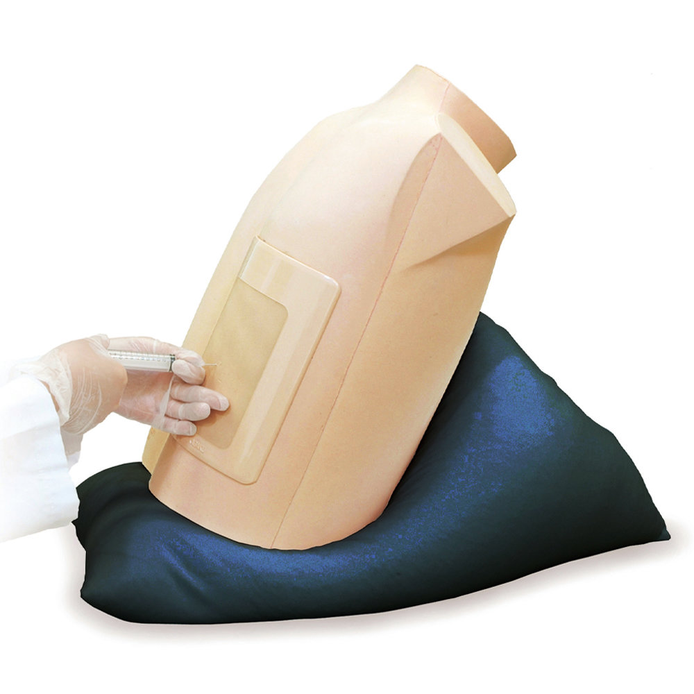 Ultrasound-Guided Thoracentesis/ Pericardiocentesis Simulator