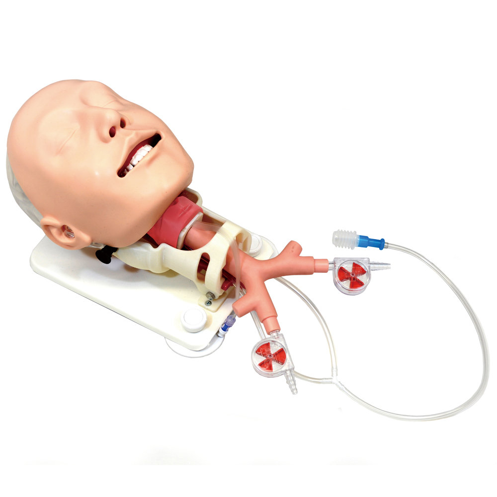 Diﬃcult Airway Management Simulator -Demonstration Model-