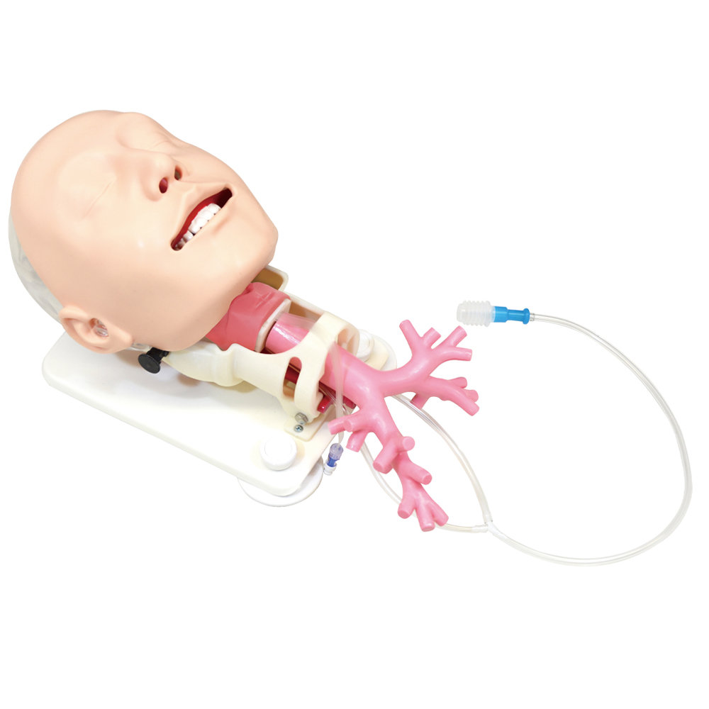 Diﬃcult Airway Management Simulator for Bronchoﬁberscopy