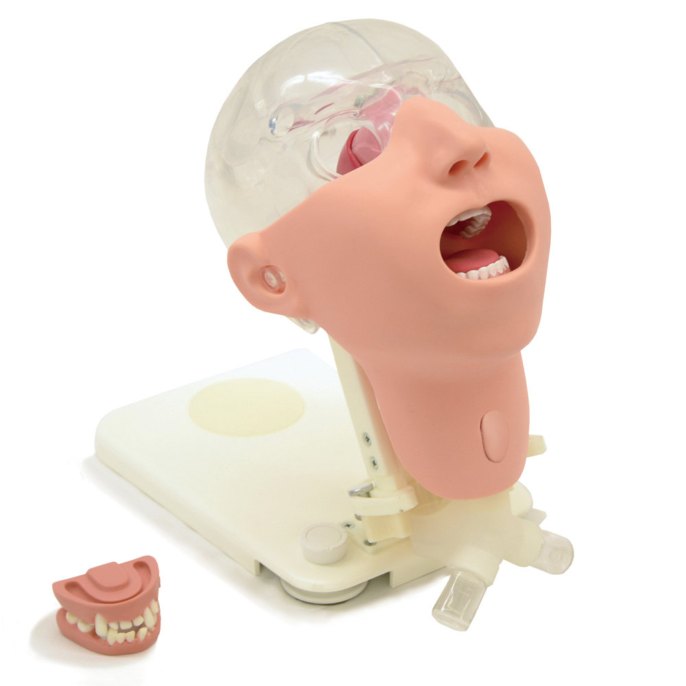 Oral Care Simulator Advanced