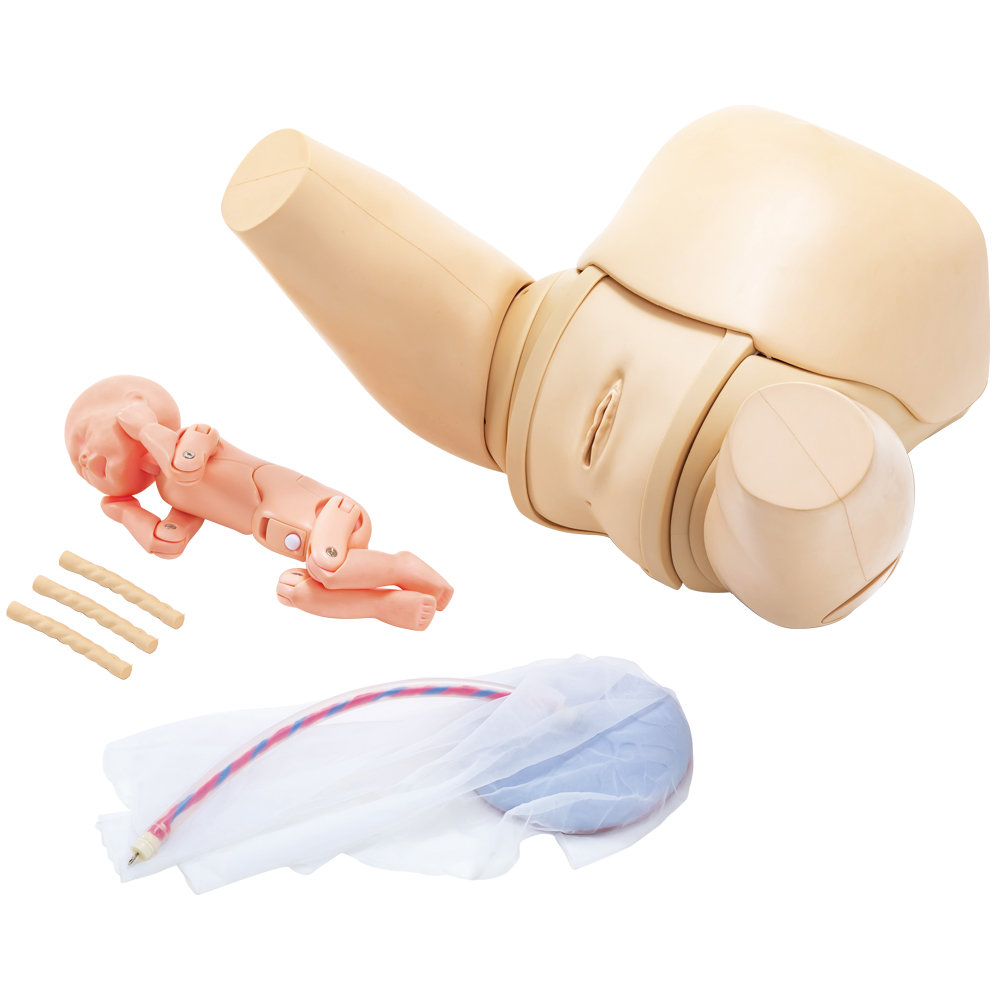 Vaginal Delivery Assistance Simulator