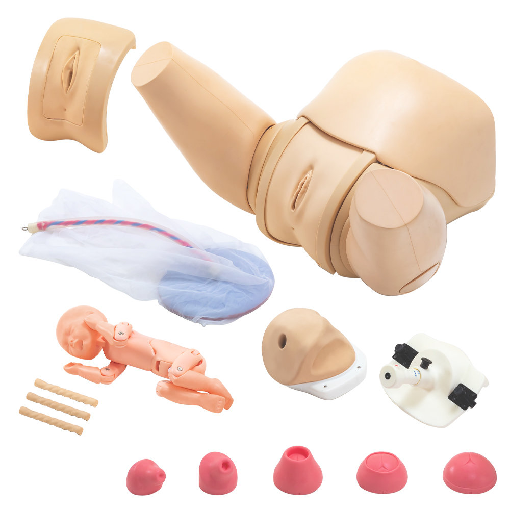 Obstetric Training Simulator -complete set-