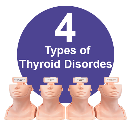Thyroid Palpation Simulator