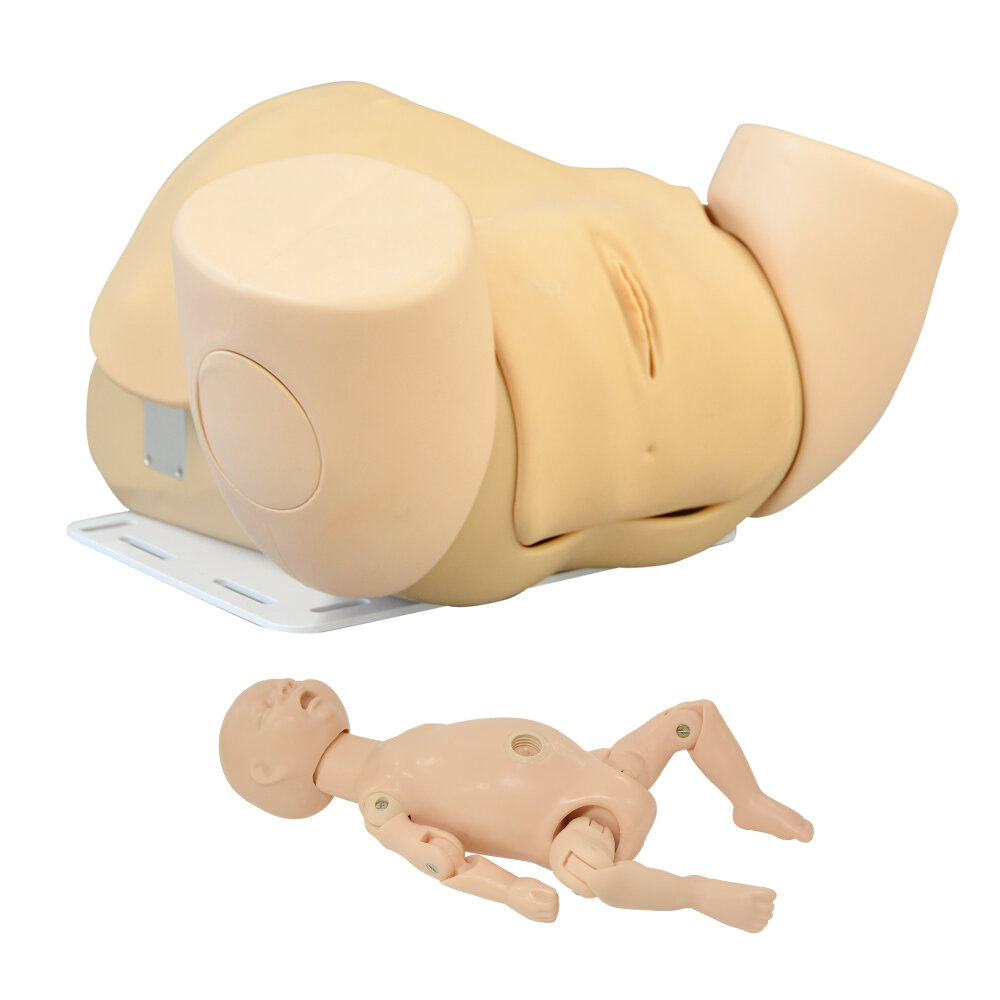 Advanced Childbirth Simulator with fetus placenta for obstetrics Training  Manikin