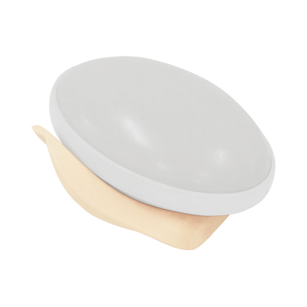 Fetus Ultrasound Examination Module