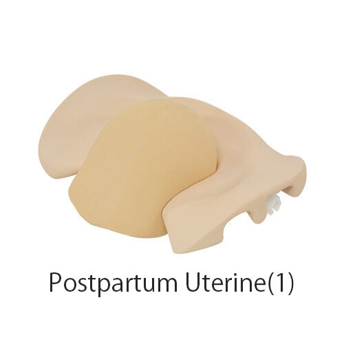 Postpartum Uterine Palpation Module