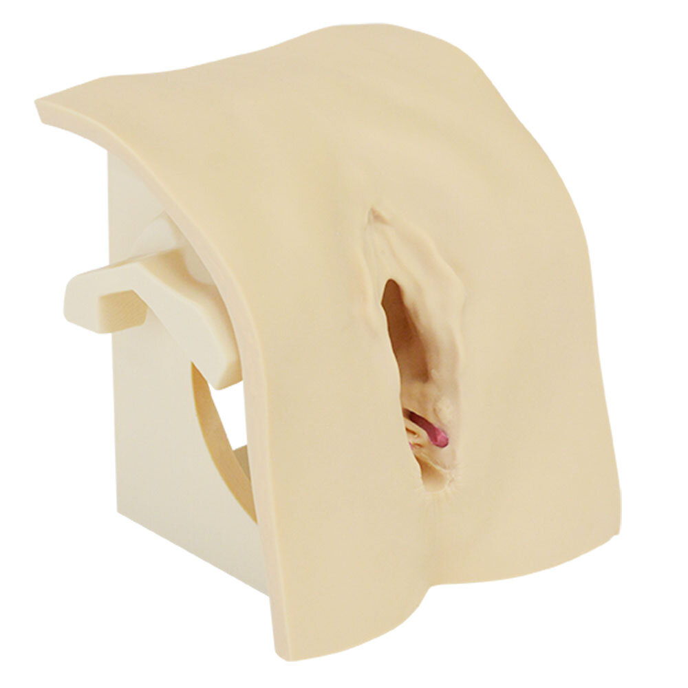OASIS Perineorrhaphy Simulator -4th degree-