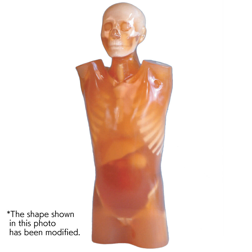 CT Torso Phantom CTU-41