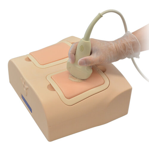 NEW! Lung Ultrasound Training Phantom ECHOLUNG