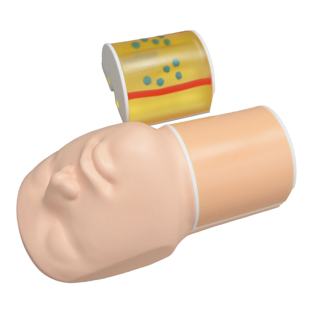 Thyroid Biopsy Phantom