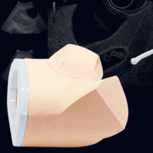 Female Pelvic Ultrasound Phantom