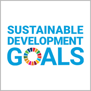 link to introduction of Kyoto Kagaku SDGs