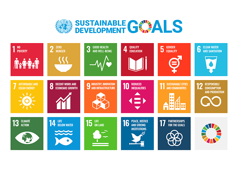 17 goals of SDGs